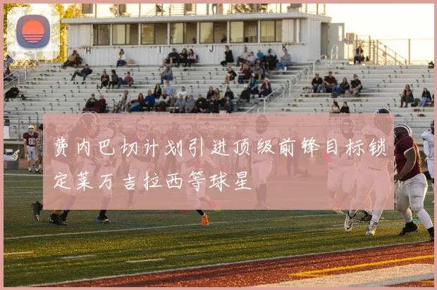 费内巴切计划引进顶级前锋目标锁定莱万吉拉西等球星